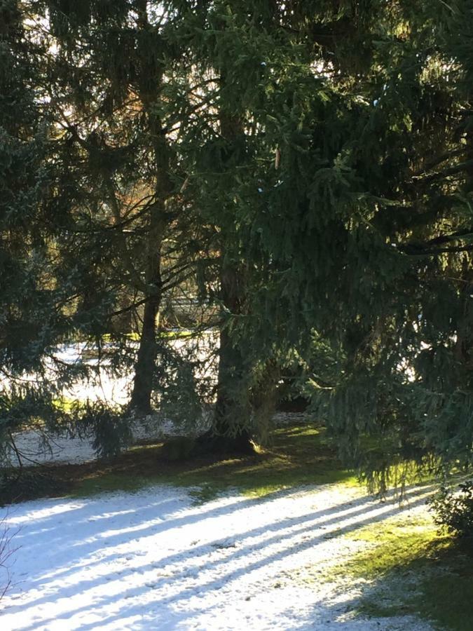 La Ferme Des Ruelles Bed & Breakfast Moigny Exterior foto